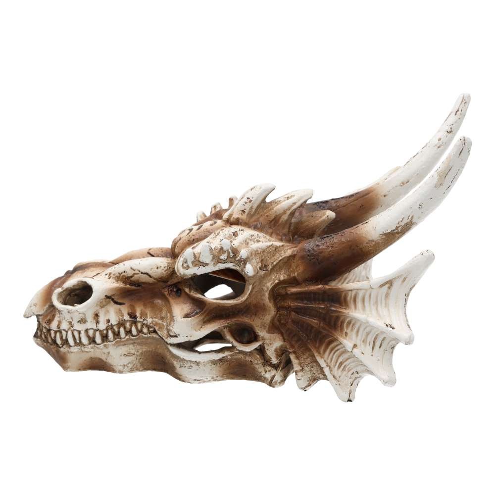 PR Dragon Skull Med 19.5×14.8×13.5cm DPS080