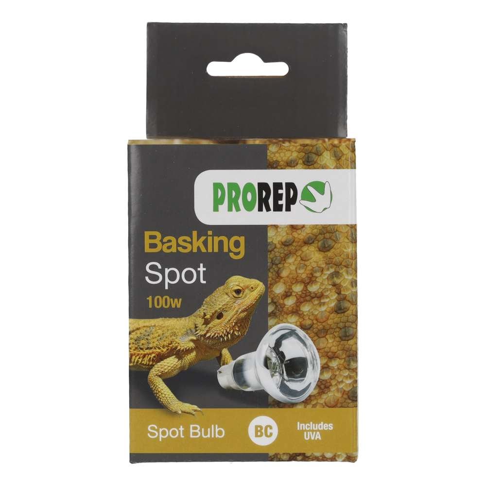 PR Basking Spot Lamp 100w BC