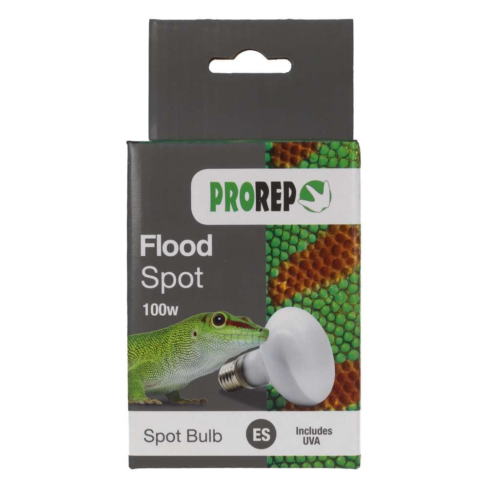 PR Flood Spot Lamp 100w ES