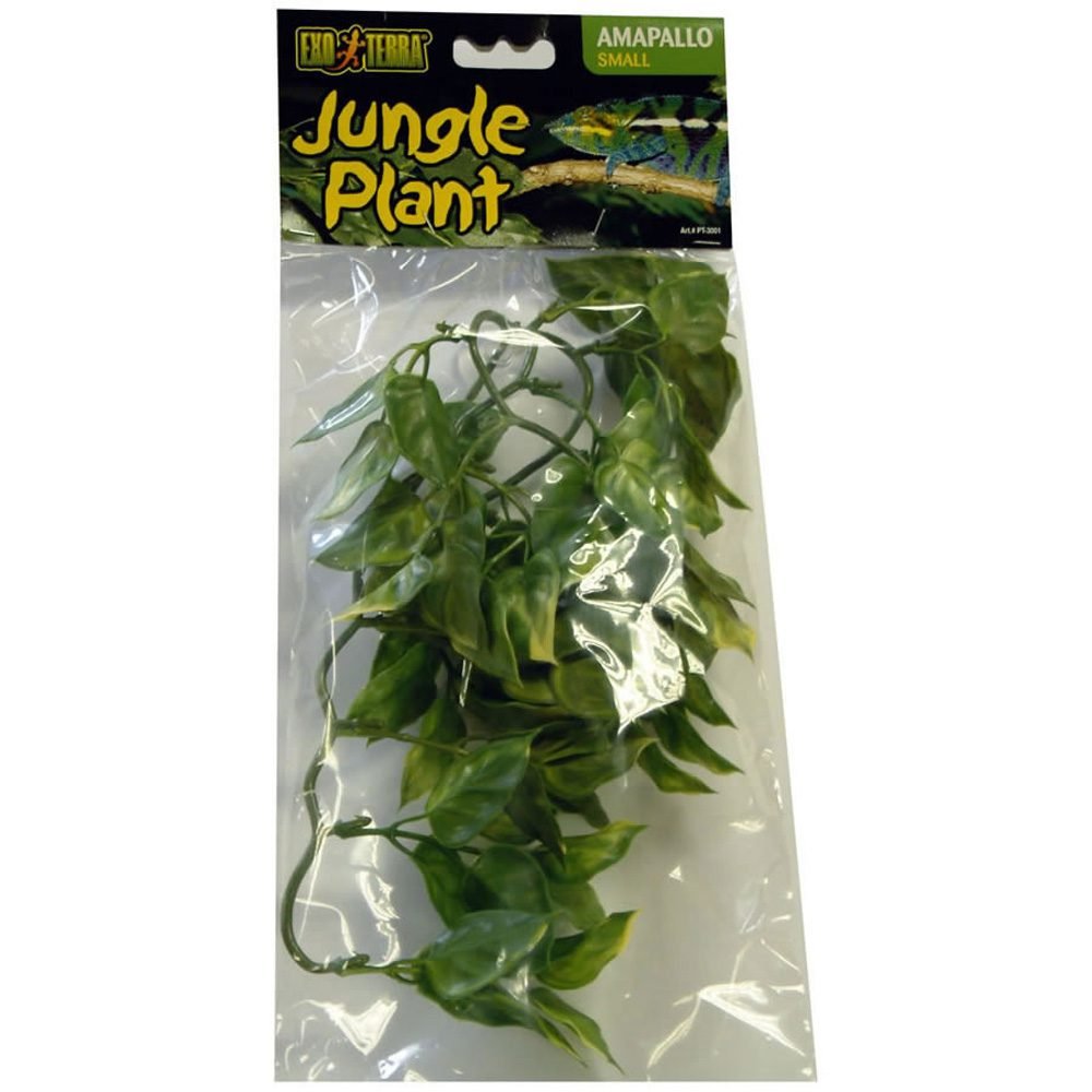 ET Plastic Plant Amapallo Small, PT3001